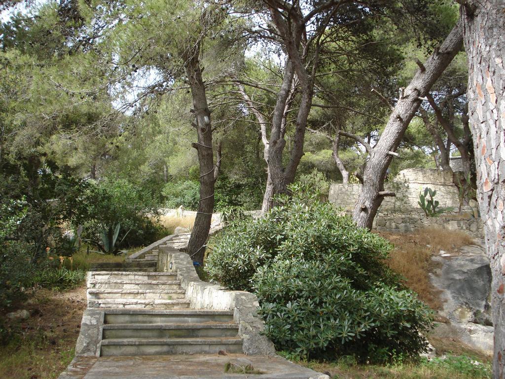 Trullo In The Wood Villa Nardò Exterior foto